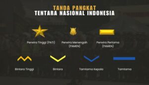 Pangkat Perwira TNI vs Polri: Perbedaan, Peran, dan Hierarki - TACTICAL ...